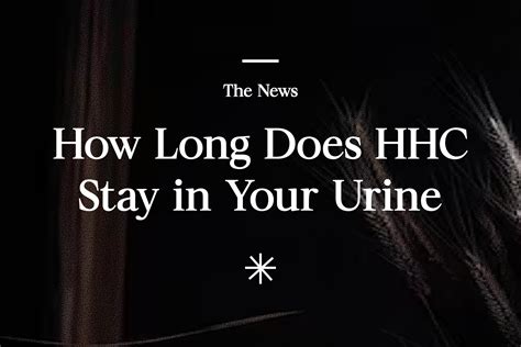 2-4 times per month. . How long does hhc stay in urine reddit